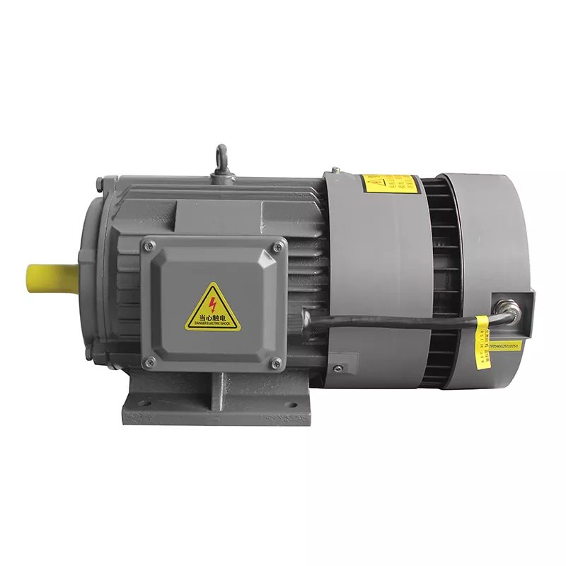 PMSM a frequenza variabile integrato: il futuro dei motori elettrici