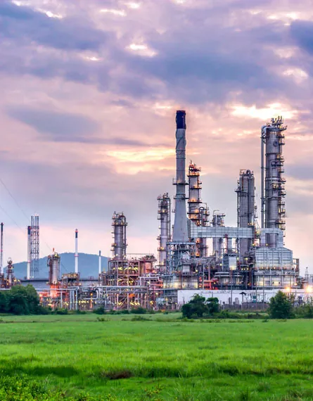 Motori elettrici utilizzati nella lavorazione chimica